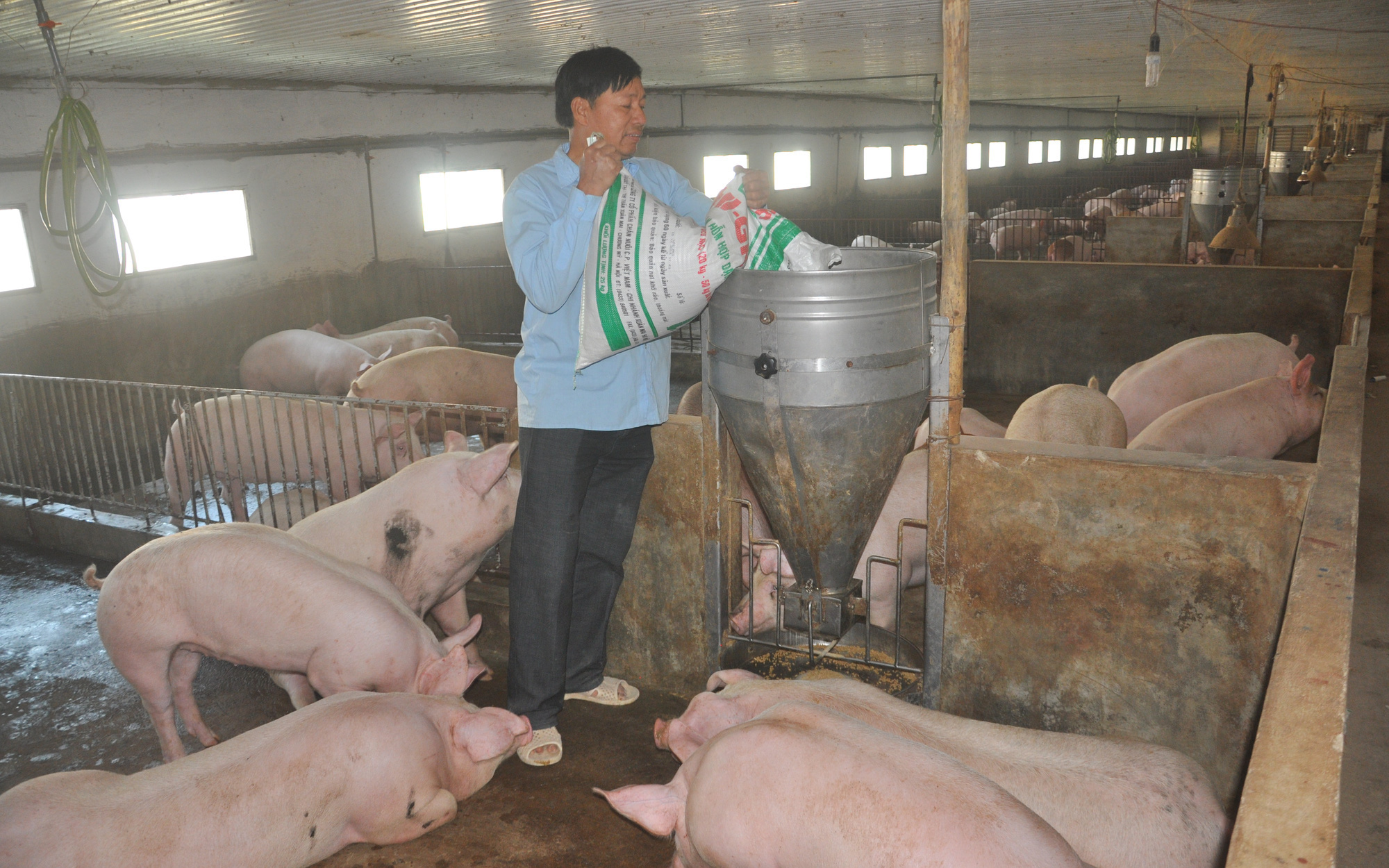 Tính từ cuối năm 2020 đến nay, giá thức ăn chăn nuôi đã tăng 8 lần liên tiếp